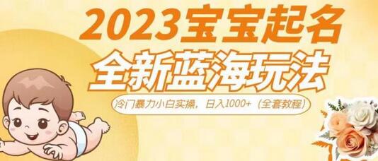 2023宝宝起名全新蓝海玩法，冷门暴力小白实操，日入1000+（全套教程）-虫2小屋