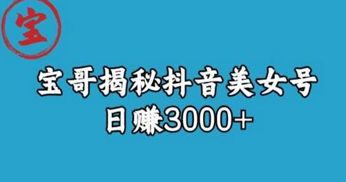 宝哥揭秘抖音美女号玩法，日赚3000+-虫2小屋