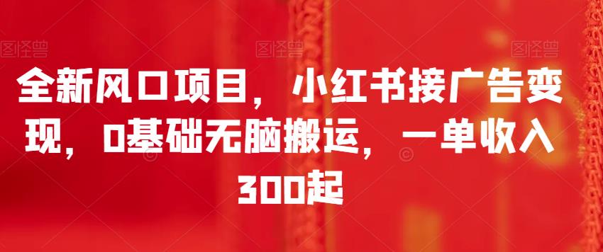 全新风口项目，小红书接广告变现，0基础无脑搬运，一单收入300起-虫2小屋