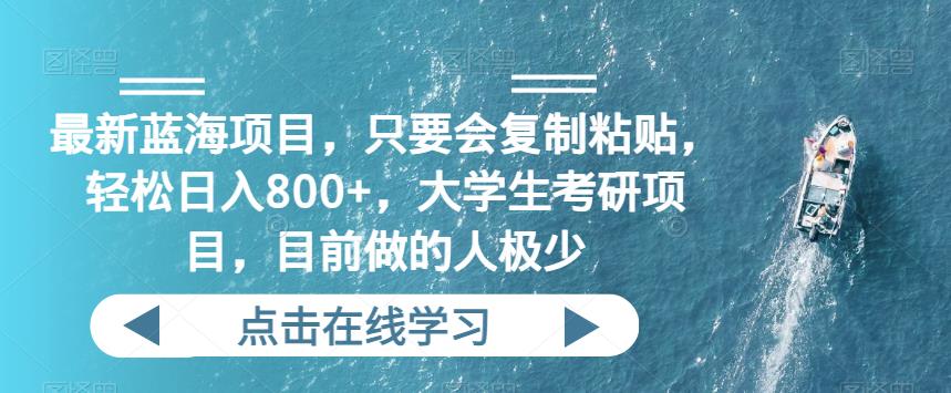 最新蓝海项目，只要会复制粘贴，轻松日入800+，大学生考研项目，目前做的人极少-虫2小屋