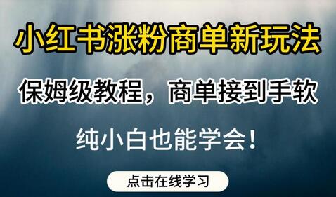 小红书涨粉商单新玩法，保姆级教程，商单接到手软，纯小白也能学会-虫2小屋