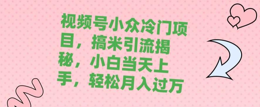 视频号小众冷门项目，搞米引流揭秘，小白当天上手，轻松月入过万-虫2小屋