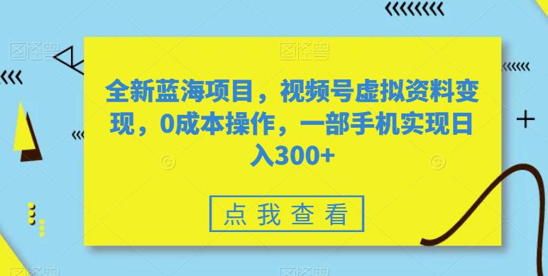 全新蓝海项目，视频号虚拟资料变现，0成本操作，一部手机实现日入300+-虫2小屋