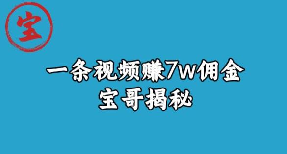 宝哥揭秘一条视频赚7W佣金，一个不需要真人露脸就能操作的短视频项目-虫2小屋