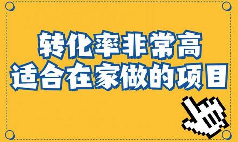 小红书虚拟电商项目：从小白到精英（视频课程+交付手册）-虫2小屋