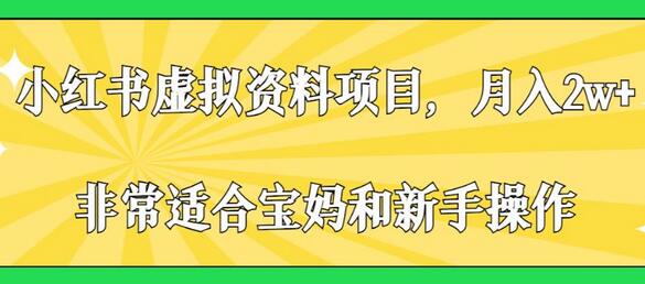小红书虚拟资料项目，月入2w+，非常适合宝妈和新手操作-虫2小屋