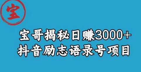 宝哥揭秘日赚3000+抖音励志语录号短视频变现项目-虫2小屋