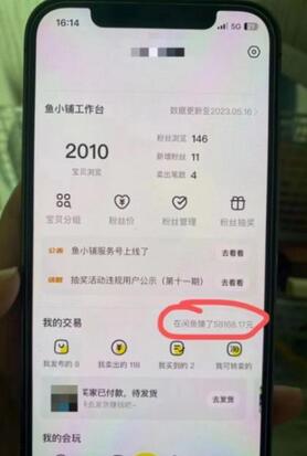 谋金优略陪怕课程闲鱼增单，一单利润200-300+目前公司盈利破10万独家玩法