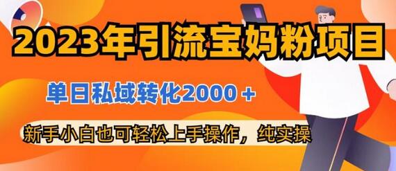 2023年引流宝妈粉项目，单日私域转化2000＋，新手小白也可轻松上手操作，纯实操-虫2小屋