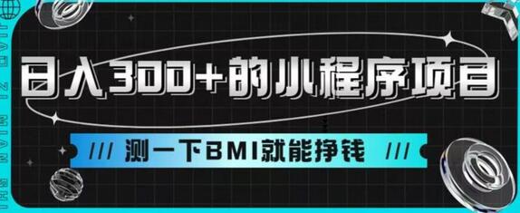 日入300+的小程序项目，测一下BMI就能挣钱-虫2小屋