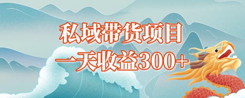 独孤私域带货蓝海项目，一天收益300+-虫2小屋