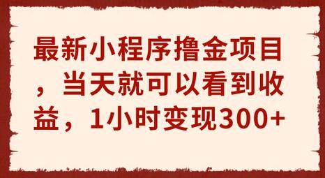 最新小程序撸金项目，当天就可以看到收益，1小时变现300+-虫2小屋