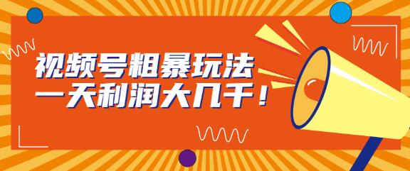 视频号粗暴玩法，一天利润大几千！-虫2小屋