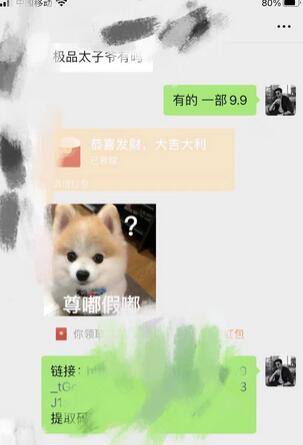 靠短剧私域掘金 月入5W 小白闭眼做（教程+2T资料）