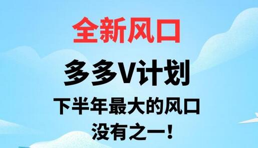 全新风口，多多V计划，下半年最大的风口项目，没有之一-虫2小屋