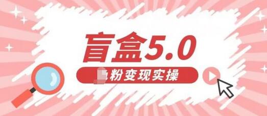 盲盒交友5.0，男粉变现实操项目，亲测变现效果极好-虫2小屋