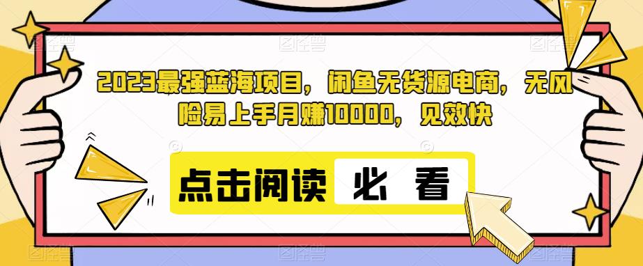 2023最强蓝海项目，闲鱼无货源电商，无风险易上手月赚10000，见效快-虫2小屋