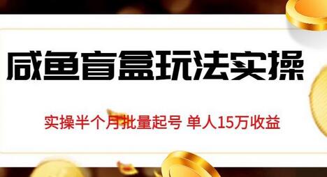 独家首发咸鱼盲盒玩法实操，半个月批量起号单人15万收益-虫2小屋