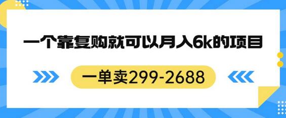 一单卖299-2688，一个靠复购就可以月入6k的暴利项目-虫2小屋