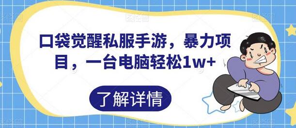 口袋觉醒私服手游，暴力项目，一台电脑轻松1w+-虫2小屋