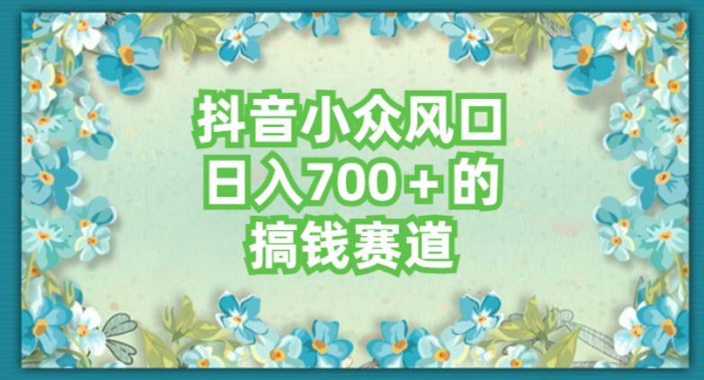 抖音小众赛道，长期可做，简单容易复制-虫2小屋