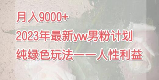 月入9000+2023年9月最新yw男粉计划绿色玩法——人性之利益-虫2小屋
