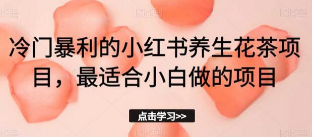 冷门暴利的小红书养生花茶项目，最适合小白做的项目-虫2小屋