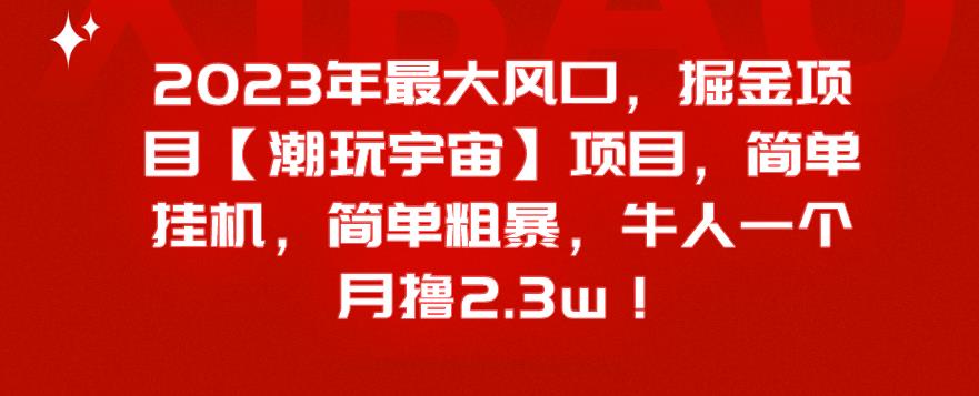 2023年最大风口，掘金项目【潮玩宇宙】，简单挂机，简单粗暴，牛人一个月撸2.3w！-虫2小屋