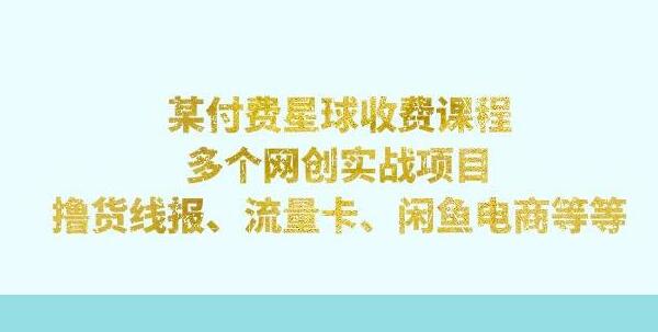 某付费星球课程：多个网创实战项目，撸货线报、流量卡、闲鱼电商等（文档非视频）-虫2小屋