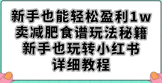 新手也能轻松盈利1w，卖减肥食谱玩法秘籍，新手也玩转小红书详细教程-虫2小屋