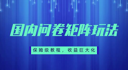 保姆级教程，国内问卷矩阵玩法，轻松赚收益-虫2小屋