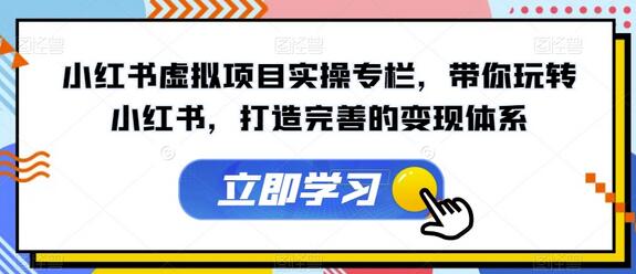 小红书虚拟项目实操专栏，带你玩转小红书，打造完善的变现体系-虫2小屋