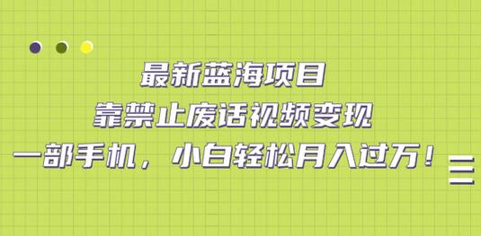 最新蓝海项目，靠禁止废话视频变现，一部手机，小白轻松月入过万-虫2小屋