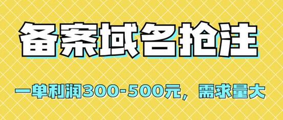备案域名抢注，一单利润300-500元，需求量大-虫2小屋
