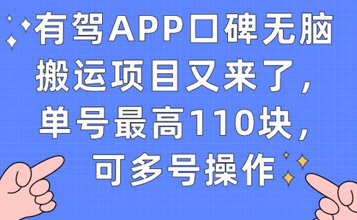 有驾APP口碑无脑搬运项目又来了，单号最高110块，可多号操作-虫2小屋