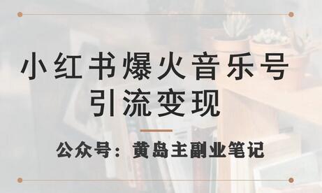 小红书爆火音乐号引流变现项目，视频版一条龙实操玩法分享给你-虫2小屋