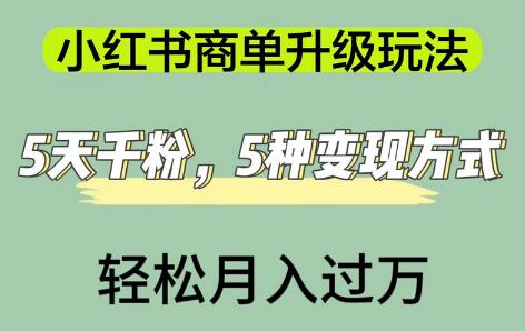 小红书商单升级玩法，5天千粉，5种变现渠道，轻松月入1万+-虫2小屋