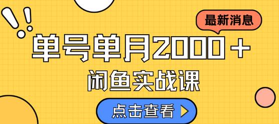 咸鱼虚拟资料新模式，月入2w＋，可批量复制，单号一天50-60没问题 多号多撸-虫2小屋
