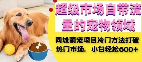 超级市场自带流量的宠物领域，同城萌宠项目冷门方法打破热门市场，小白轻松600+-虫2小屋