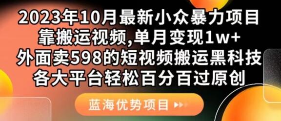 2023年10月最新小众暴力项目，靠搬运视频,单月变现1w+，外面卖598的短视频搬运，各大平台轻松百分百过原创-虫2小屋
