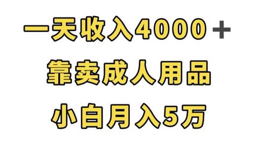 一天收入4000+，靠卖成人用品，小白轻松月入5万-虫2小屋
