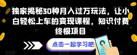 独家揭秘30种月入过万玩法，让小白轻松上车的变现课程，知识付费终极项目-虫2小屋