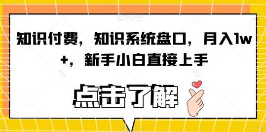 知识付费，知识系统盘口，月入1w+，新手小白直接上手-虫2小屋