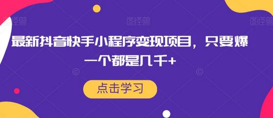 最新抖音快手小程序变现项目，只要爆一个都是几千+-虫2小屋