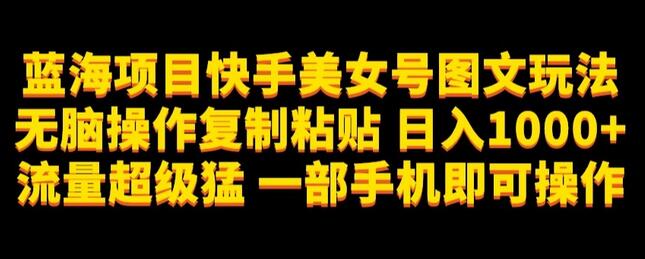 蓝海项目快手美女号图文玩法，无脑操作复制粘贴，日入1000+流量超级猛一部手机即可操作-虫2小屋