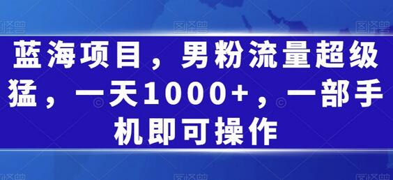 蓝海项目，男粉流量超级猛，一天1000+，一部手机即可操作-虫2小屋