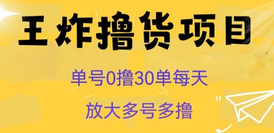 王炸撸货项目，单号0撸30单每天，多号多撸-虫2小屋