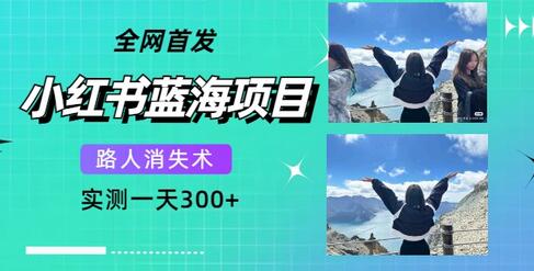 全网首发，小红书蓝海项目，路人消失术，实测一天300+（教程+工具）-虫2小屋