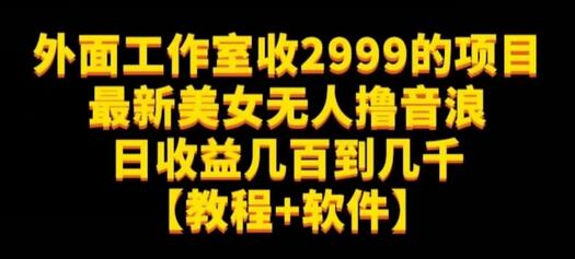 外面工作室收2999的项目最新美女无人撸音浪日收益几百到几千-虫2小屋