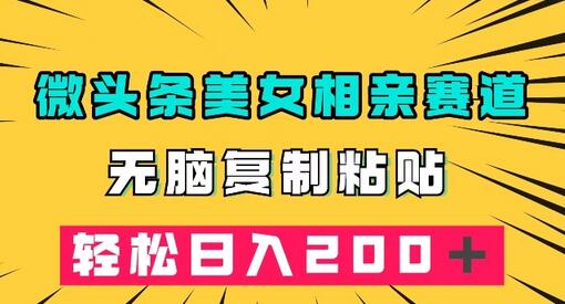 微头条冷门美女相亲赛道，无脑复制粘贴，轻松日入200＋-虫2小屋